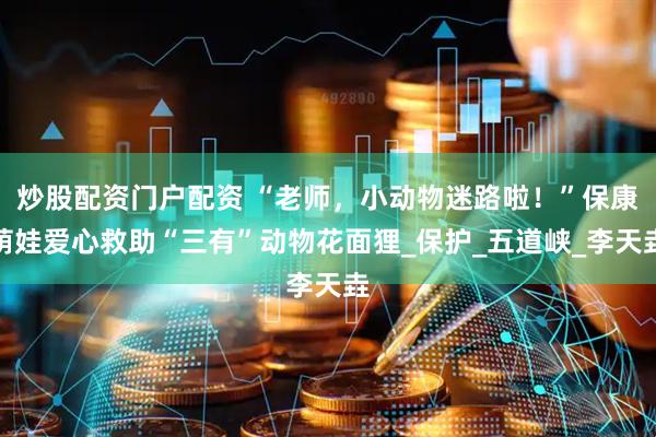 炒股配资门户配资 “老师，小动物迷路啦！”保康萌娃爱心救助“三有”动物花面狸_保护_五道峡_李天垚