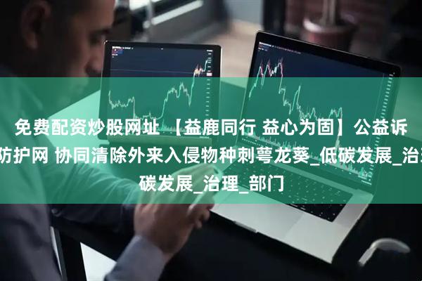 免费配资炒股网址 【益鹿同行 益心为固】公益诉讼织密防护网 协同清除外来入侵物种刺萼龙葵_低碳发展_治理_部门